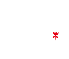 郑州网站改版方案