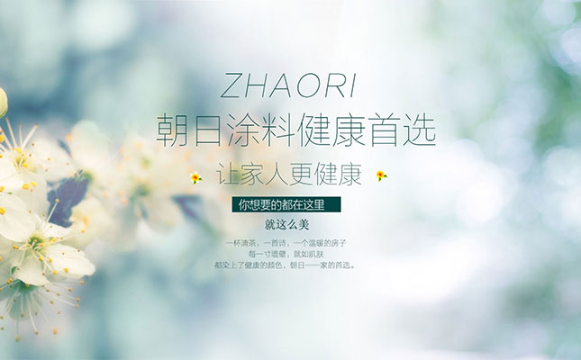 巩义市涂料网站建设项目完成