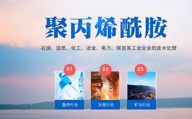 巩义市某净水剂客户网站制作完成